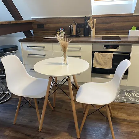 公寓 Jenys Usti 2 *